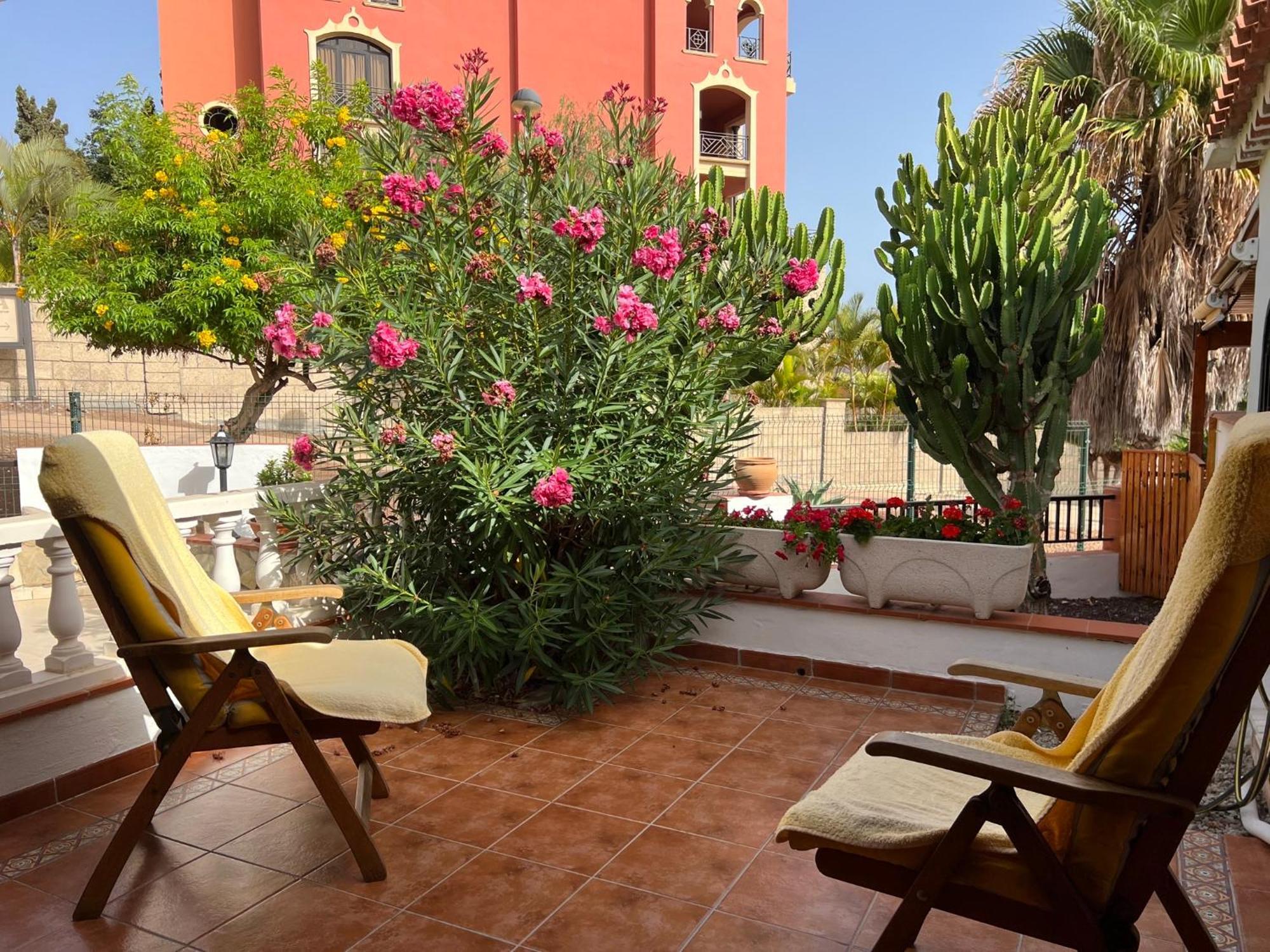 אדחה Cactus'S House, 150 M Beach, 1 Bdr, 4 Guests, Wifi, Netflix, מראה חיצוני תמונה