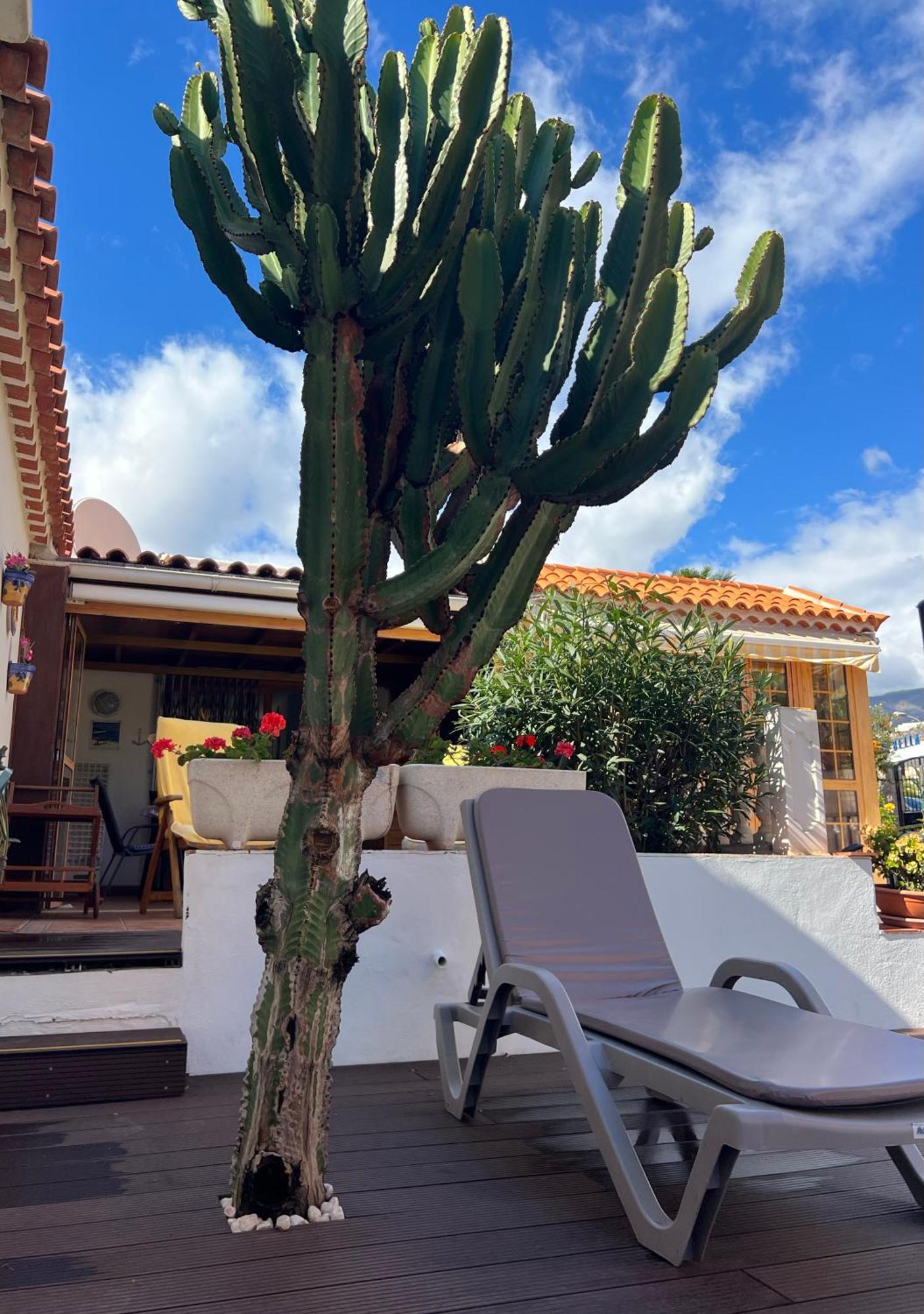 אדחה Cactus'S House, 150 M Beach, 1 Bdr, 4 Guests, Wifi, Netflix, מראה חיצוני תמונה